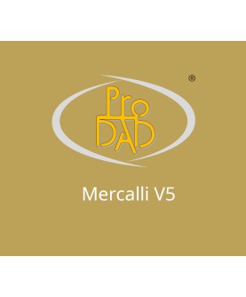 proDAD Mercalli V5 Plugin 2 Jahre / 1 Key EUROPE